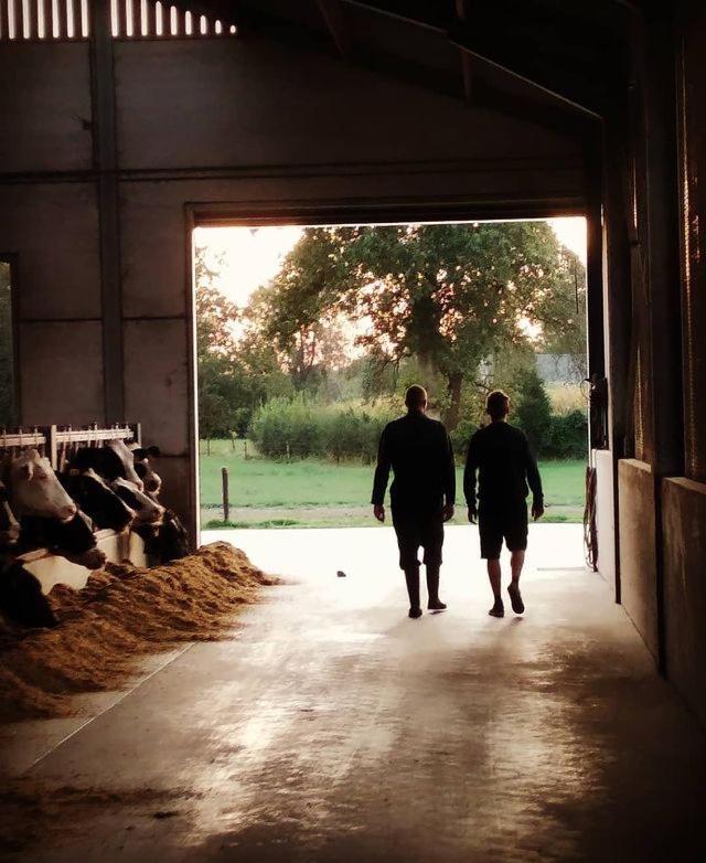 De Burkelhoeve appC Maldegem Buitenkant foto