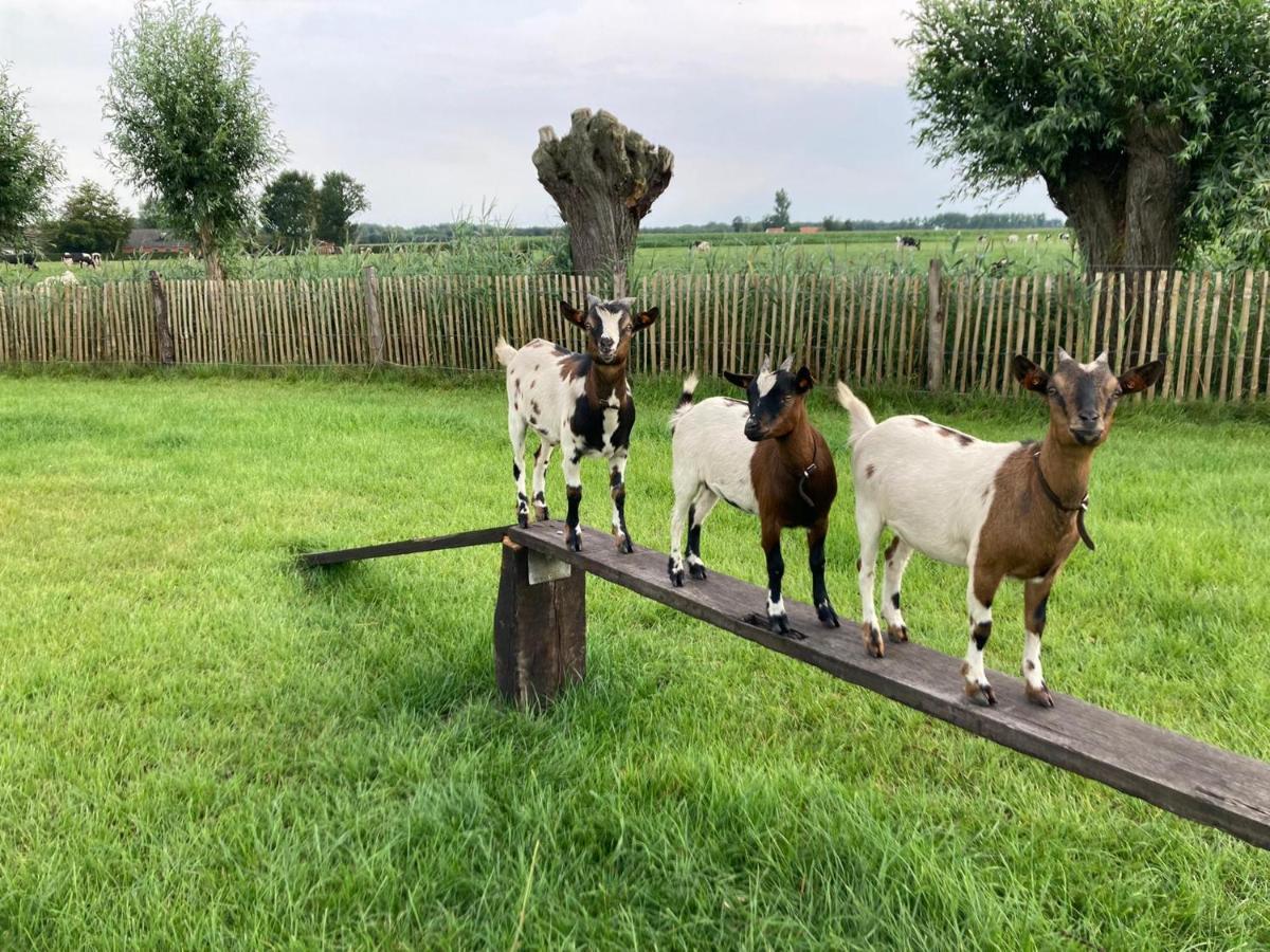 De Burkelhoeve appC Maldegem Buitenkant foto